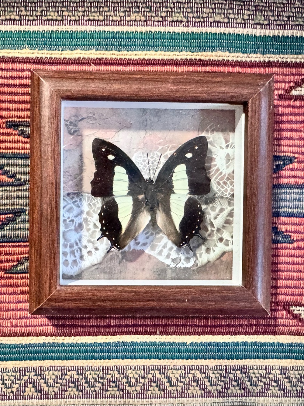 Framed Butterfly Wall Art - Black and Cream Home Art